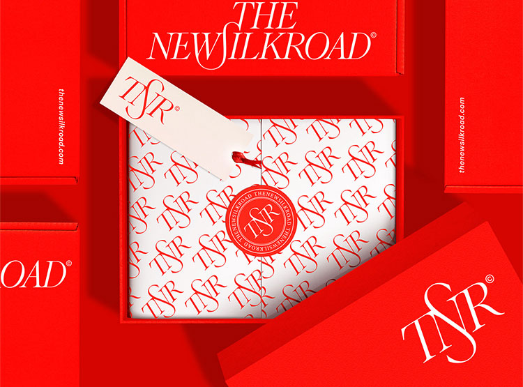 The New Silk Road贸易公司品牌VI设计