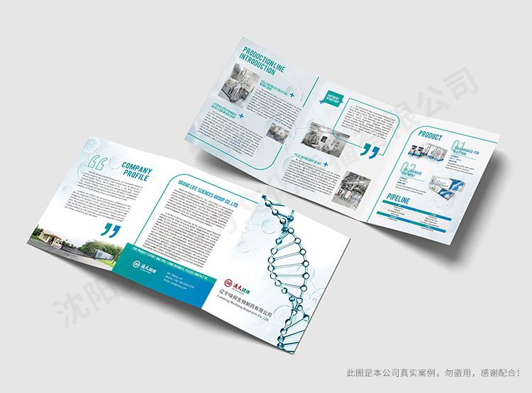 辽宁味邦生物折页设计