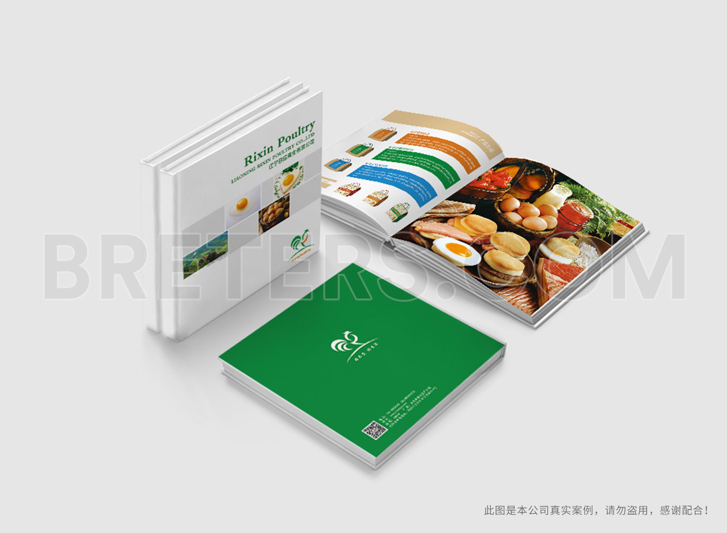 辽宁日信禽业有限公司画册设计