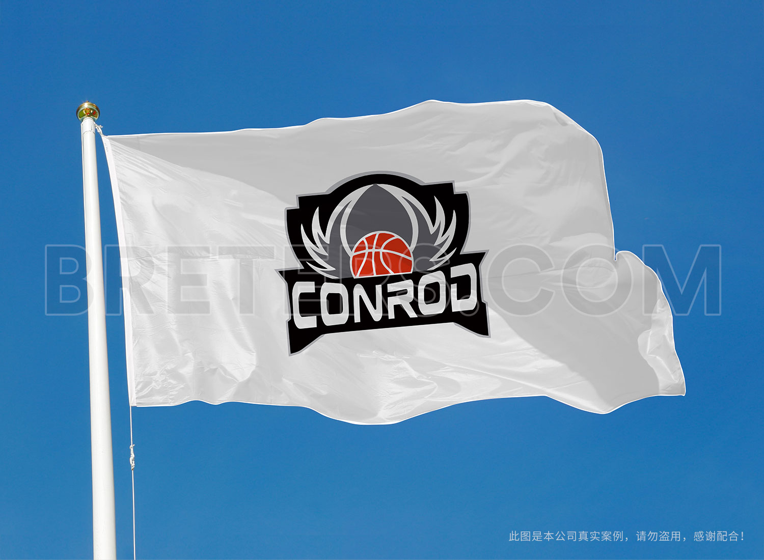 新晨动力活动队旗