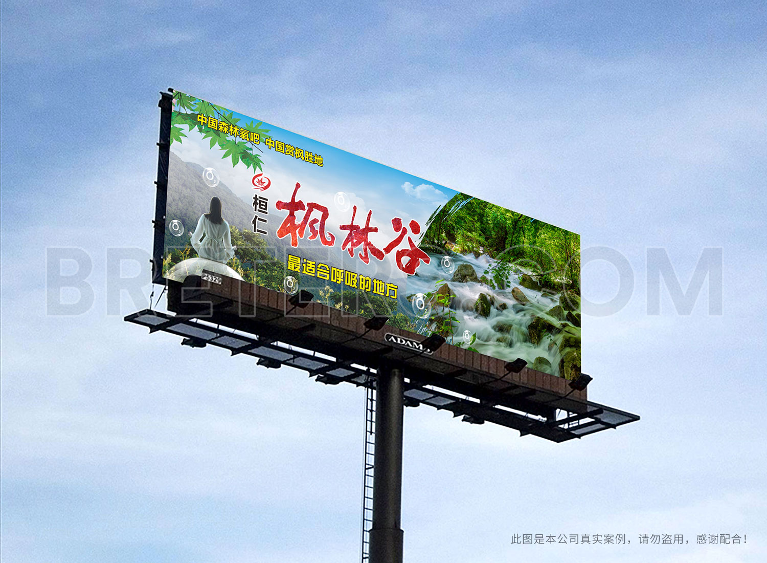 案例新1 案例新1